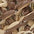 TWANY TAN MULTI FAUX RAFFIA