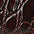 MERLOT CROCO LEATHER