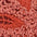CORAL CLAY MESH FABRIC