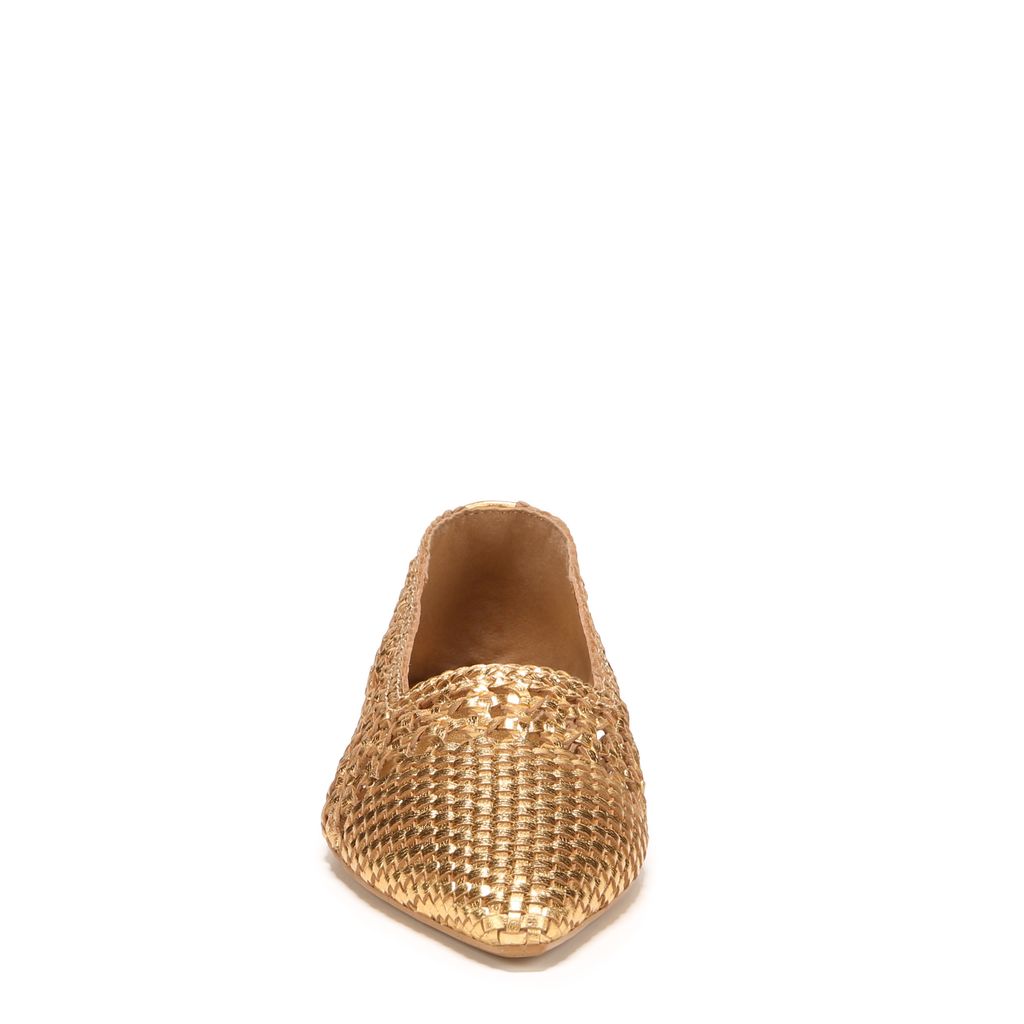 Deena Pointed Toe Ballet Flat