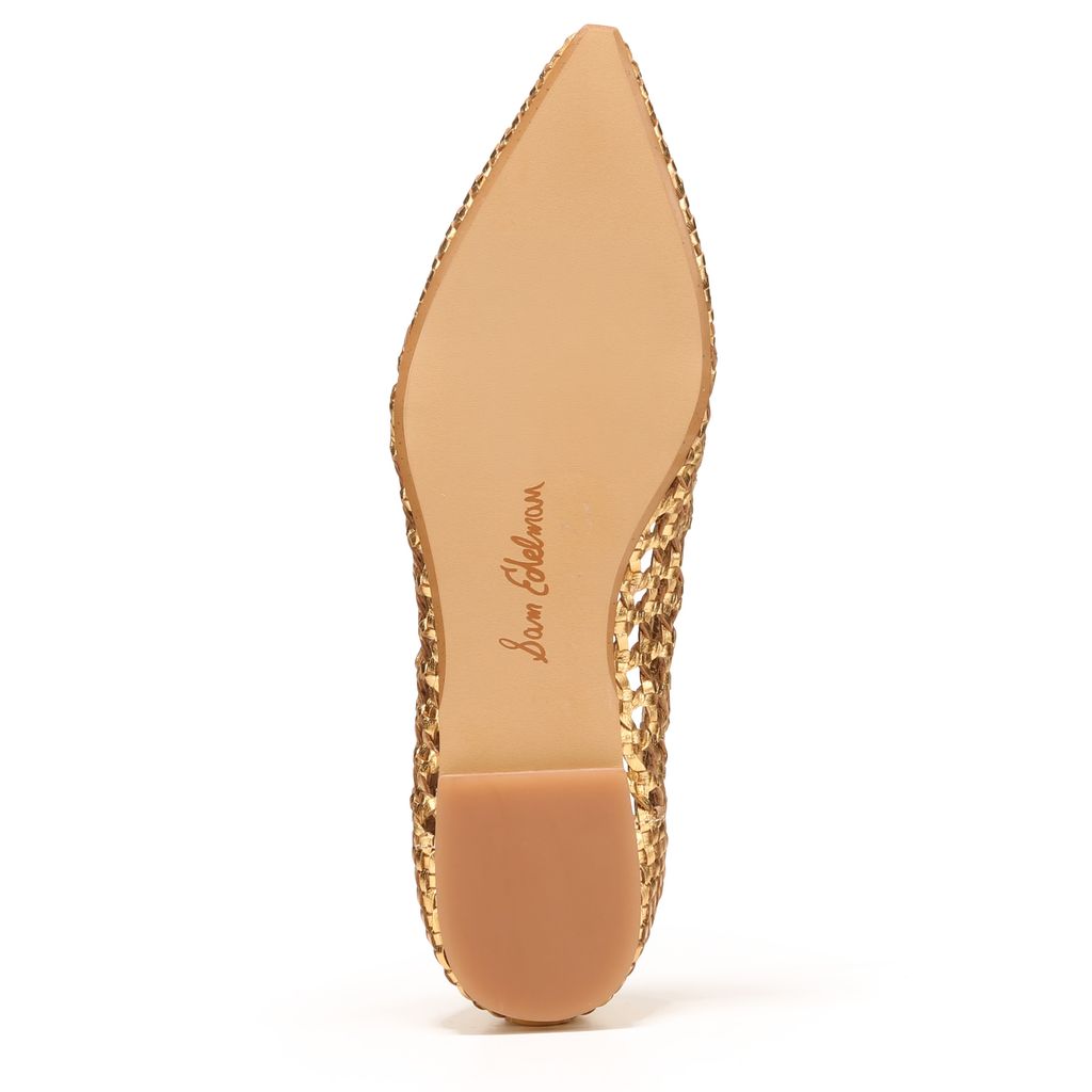 Deena Pointed Toe Ballet Flat